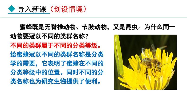 人教版八年级生物上册课件 6.1.2 从种到界第3页