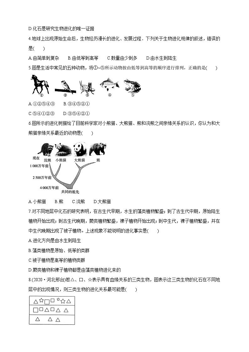 【新课标】生物冀少八下6.3.2.1 生物的进化 生物进化的历程 学案第3页