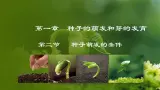 3.1.2  种子萌发的条件（课件）-2024-2025学年八年级冀少版生物上册