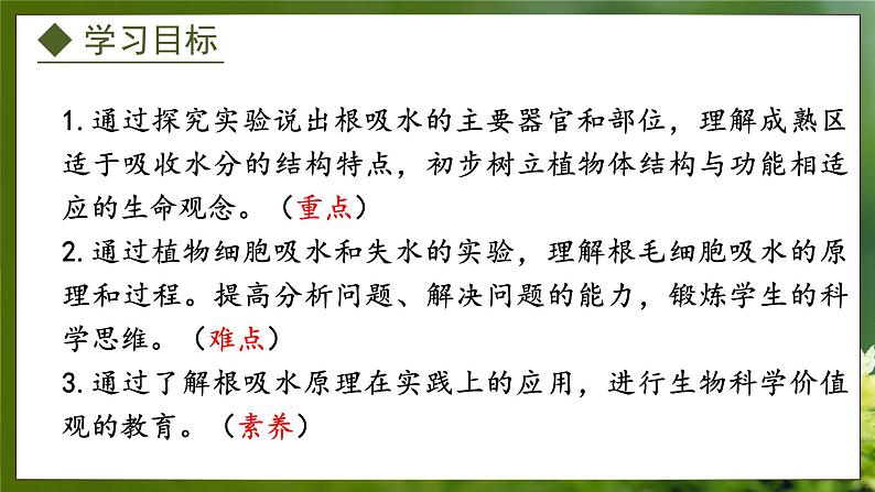 3.2.2 根对水分的吸收(课件)-2024-2025学年八年级冀少版生物上册02