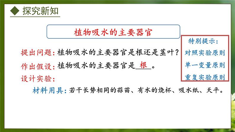 3.2.2 根对水分的吸收(课件)-2024-2025学年八年级冀少版生物上册04