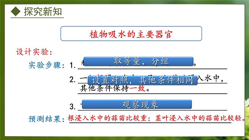 3.2.2 根对水分的吸收(课件)-2024-2025学年八年级冀少版生物上册05