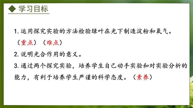 3.3.1 光合作用的产物(课件)-2024-2025学年八年级冀少版生物上册02