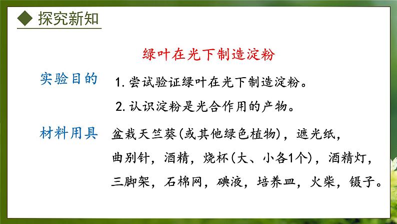 3.3.1 光合作用的产物(课件)-2024-2025学年八年级冀少版生物上册04