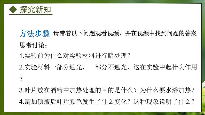3.3.1 光合作用的产物(课件)-2024-2025学年八年级冀少版生物上册05