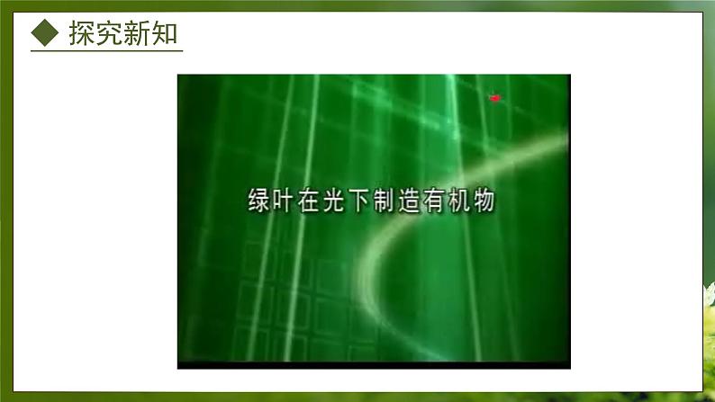 3.3.1 光合作用的产物(课件)-2024-2025学年八年级冀少版生物上册06