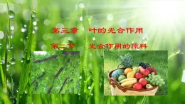 3.3.2  光合作用的原料（课件）-2024-2025学年八年级冀少版生物上册