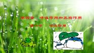 冀少版八年级上册第一节 呼吸作用课文配套ppt课件
