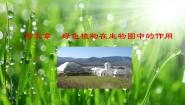 冀少版八年级上册第五章  绿色植物在生物圈中的作用课文配套ppt课件