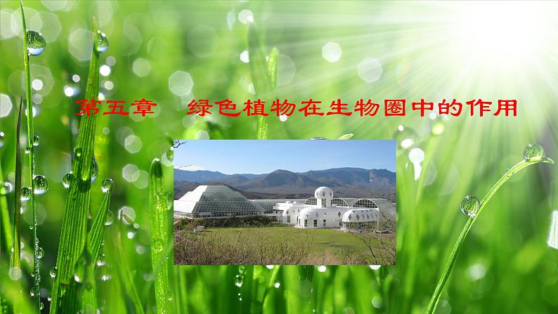 3.5 绿色植物在生物圈中的作用(课件)-2024-2025学年八年级冀少版生物上册01