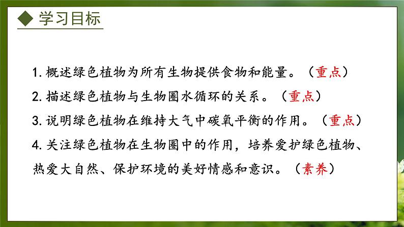 3.5 绿色植物在生物圈中的作用(课件)-2024-2025学年八年级冀少版生物上册02