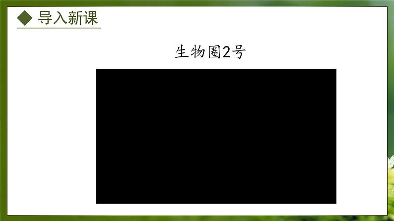 3.5 绿色植物在生物圈中的作用(课件)-2024-2025学年八年级冀少版生物上册03