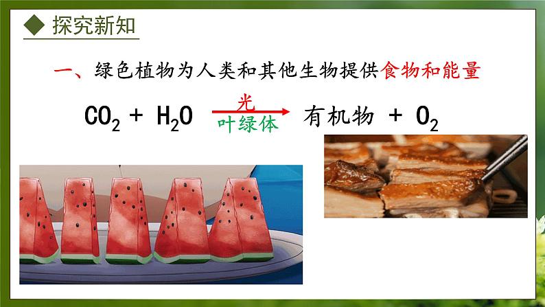 3.5 绿色植物在生物圈中的作用(课件)-2024-2025学年八年级冀少版生物上册06