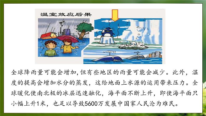 3.5 绿色植物在生物圈中的作用(课件)-2024-2025学年八年级冀少版生物上册08