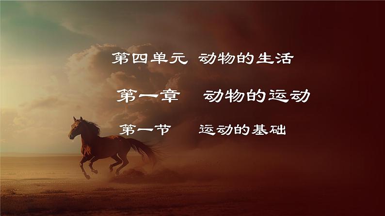 4.1.1 运动的基础(课件)-2024-2025学年八年级冀少版生物上册01