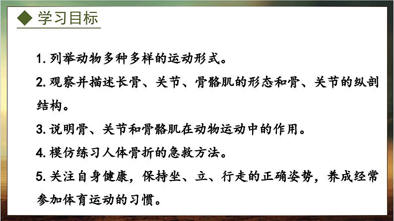 4.1.1 运动的基础(课件)-2024-2025学年八年级冀少版生物上册02