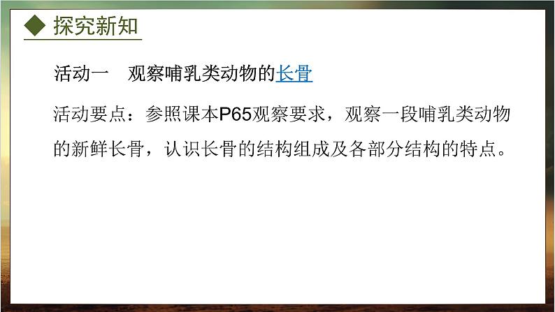 4.1.1 运动的基础(课件)-2024-2025学年八年级冀少版生物上册07