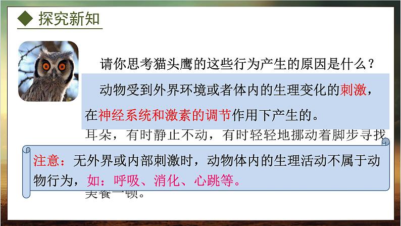 4.2.1 动物行为的特点(课件)-2024-2025学年八年级冀少版生物上册06