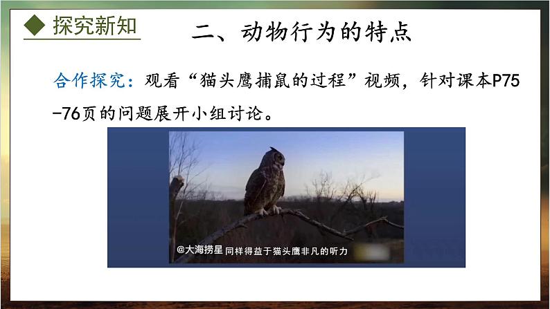 4.2.1 动物行为的特点(课件)-2024-2025学年八年级冀少版生物上册08