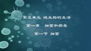 冀少版八年级上册第一节 细菌教课内容课件ppt