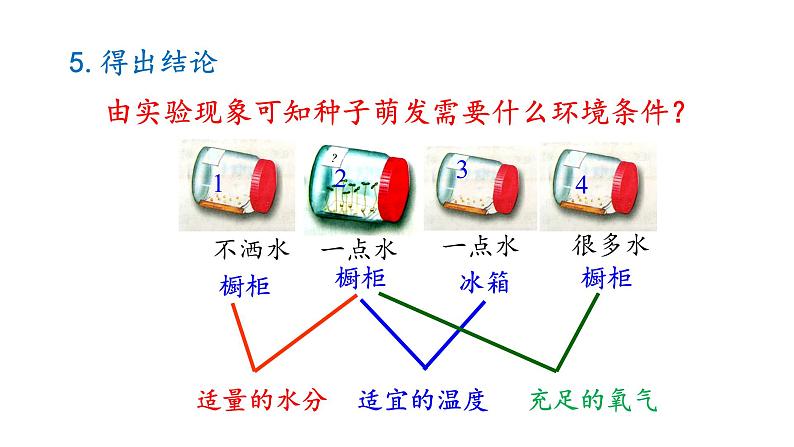 冀少版八年级生物上册课件 3.1.2 种子萌发的条件08