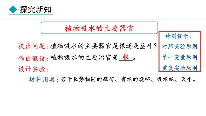 冀少版八年级生物上册课件 3.2.2 根对水分的吸收04