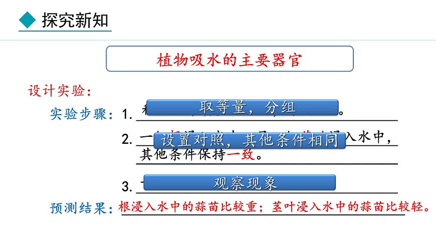 冀少版八年級生物上冊課件 3.2.2  根對水分的吸收第5頁