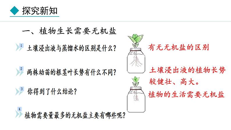 冀少版八年级生物上册课件 3.2.3 无机盐与植物的生长04