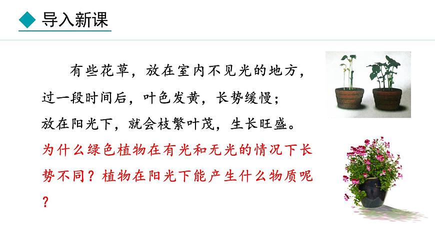 冀少版八年級生物上冊課件 3.3.1  光合作用的產(chǎn)物第3頁