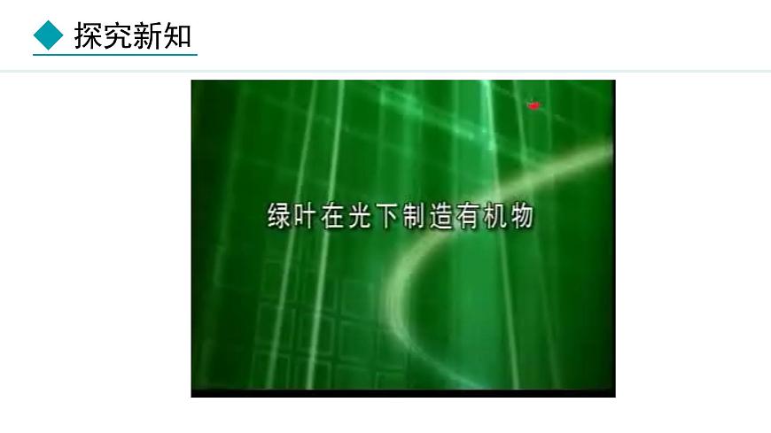 冀少版八年級生物上冊課件 3.3.1  光合作用的產(chǎn)物第6頁