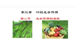 冀少版八年级生物上册课件 3.3.2  光合作用的原料