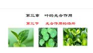 冀少版八年级上册第三节 光合作用的场所课前预习ppt课件