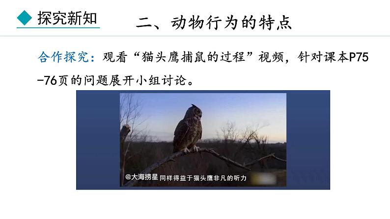 冀少版八年级生物上册课件 4.2.1 动物行为的特点第8页