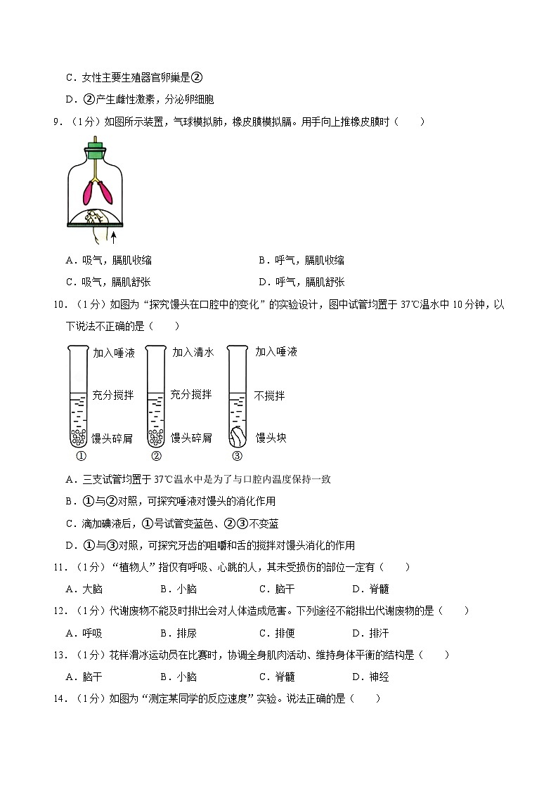2023-2024学年吉林省长春市德惠市七年级(下)期末生物试卷第2页