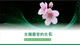 3.5.3生殖器官的生長（課件+教案）北師大版 七上