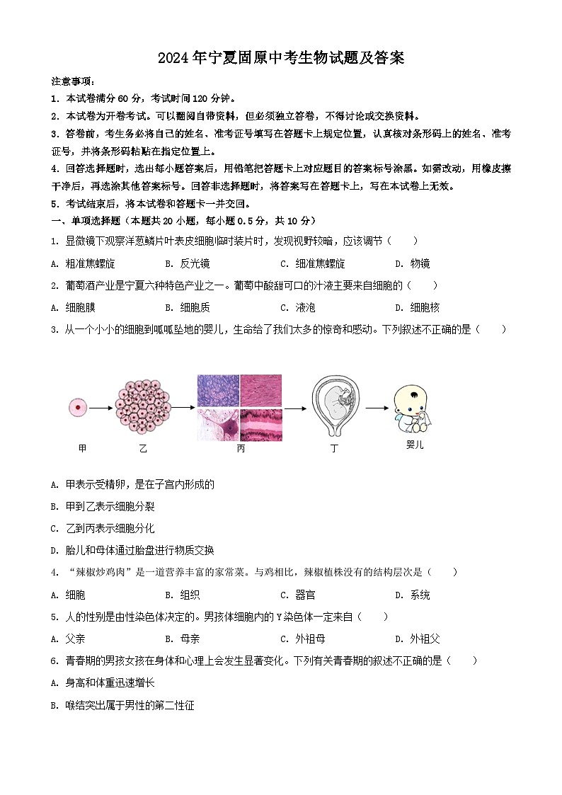 2024年宁夏固原中考真题生物试题及答案01