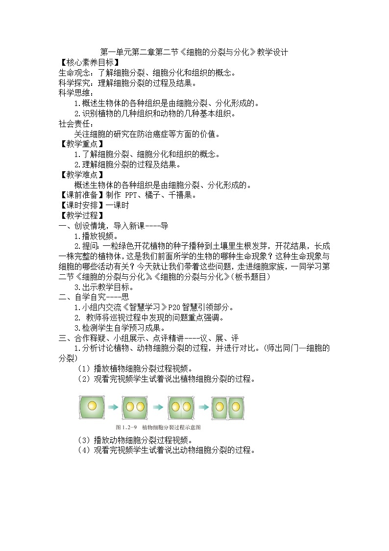 1.2.2细胞的分裂与分化教学设计-2023-2024学年济南版生物七年级上册01
