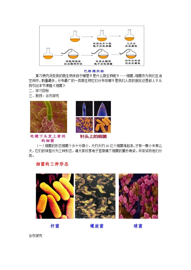 2.3.2细菌教学设计-2023-2024学年济南版生物七年级上册02