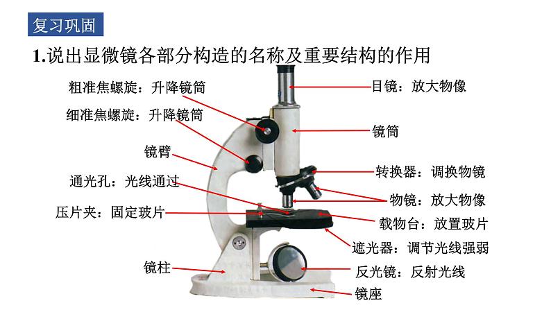 1.1.4 生物学的研究工具(第二课时) 课件-2023-2024学年济南版生物七年级上册02