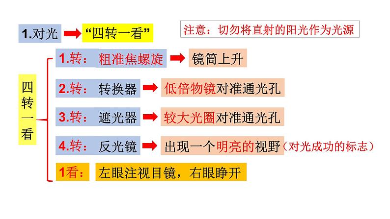 1.1.4 生物学的研究工具(第二课时) 课件-2023-2024学年济南版生物七年级上册07