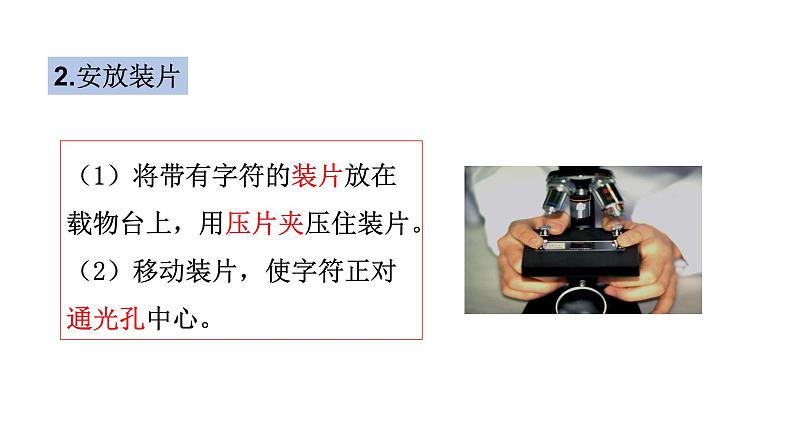 1.1.4 生物学的研究工具(第二课时) 课件-2023-2024学年济南版生物七年级上册08