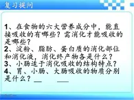 3.1.3合理膳食与食品安全课件-2023-2024学年济南版生物七年级下册