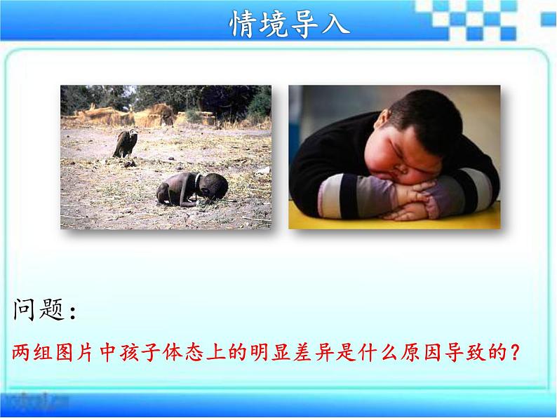 3.1.3合理膳食与食品安全课件-2023-2024学年济南版生物七年级下册第3页