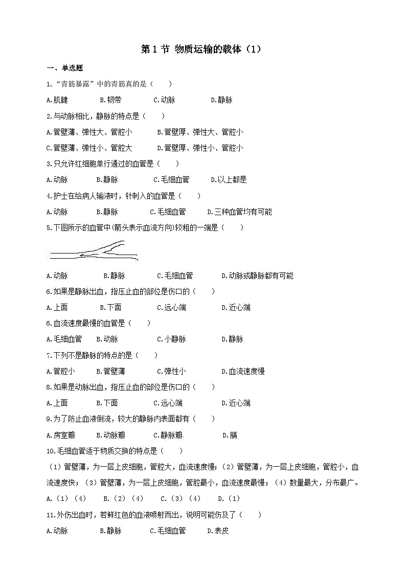 冀教版生物七下2.2.2物质运输的器官(1)练习01
