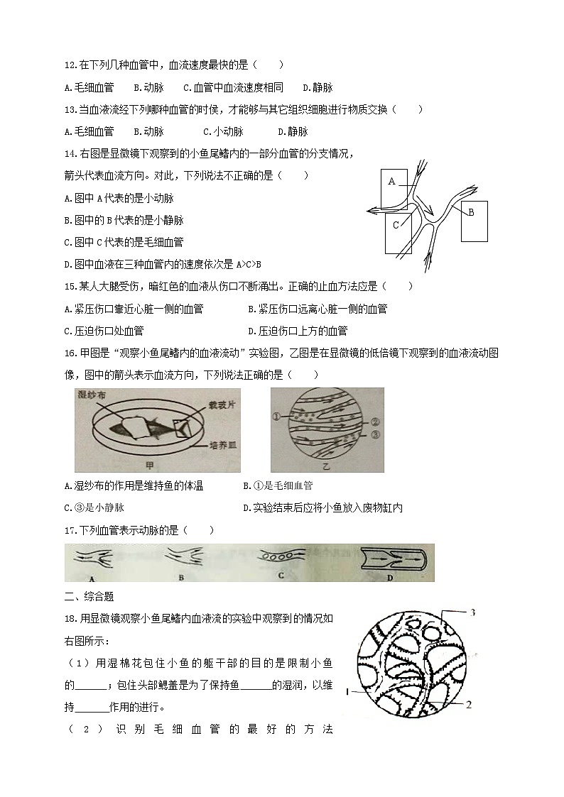 冀教版生物七下2.2.2物质运输的器官(1)练习02