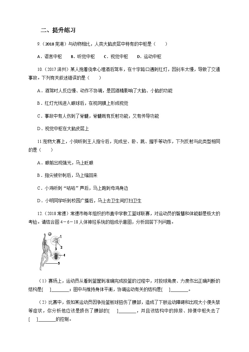冀教版七年生物下冊第4章第3節(jié)信息的處理 第2課時（習(xí)題）第2頁