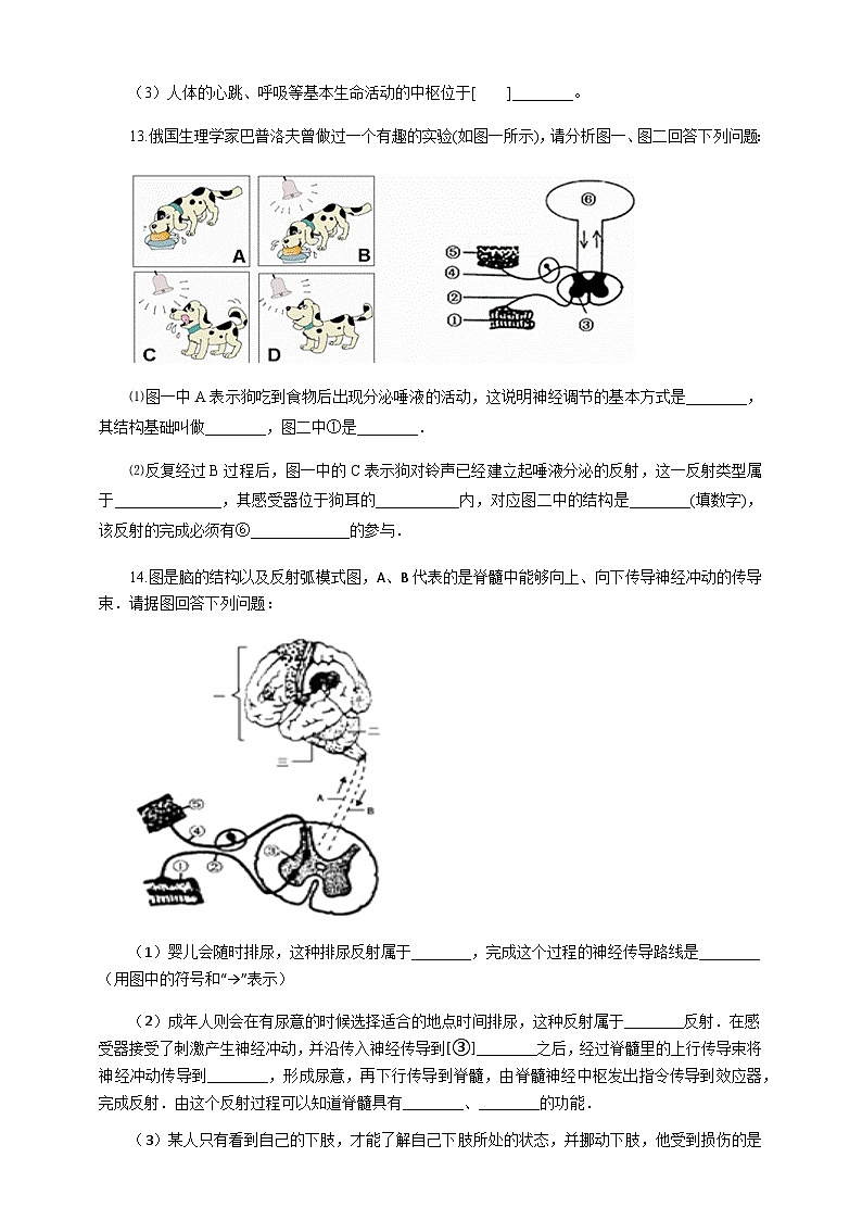冀教版七年生物下冊第4章第3節(jié)信息的處理 第2課時（習(xí)題）第3頁