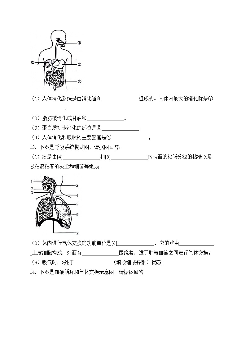甘肃省天水市麦积区2023-2024学年七年级下学期7月期末考试生物试卷(含答案)第3页
