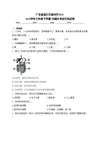 广东省湛江市雷州市2023-2024学年七年级下学期7月期末考试生物试卷(含答案)
