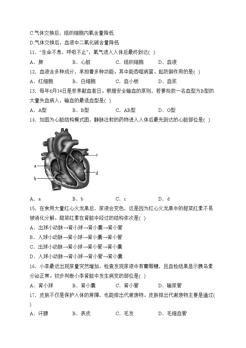 河南省开封市2023-2024学年七年级下学期期末生物试卷(含答案)第3页